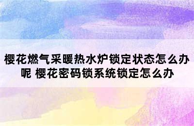 樱花燃气采暖热水炉锁定状态怎么办呢 樱花密码锁系统锁定怎么办